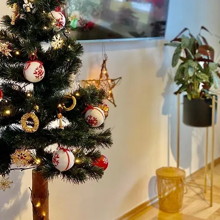 Uroczy 50 Metrów Od Krupówek, 2 Osobne Sypialnie